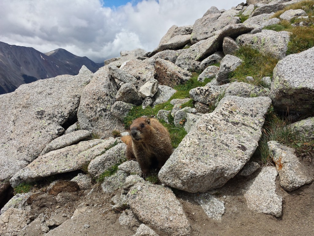 20140820_120345_Android