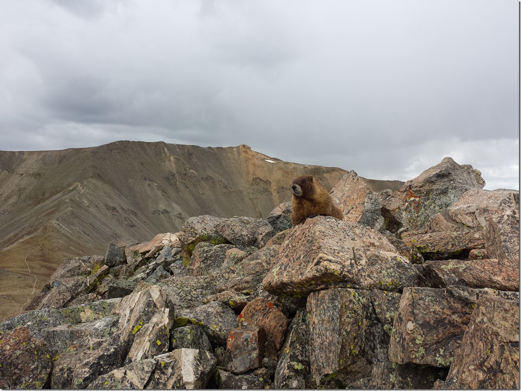 20140831_143506_Android