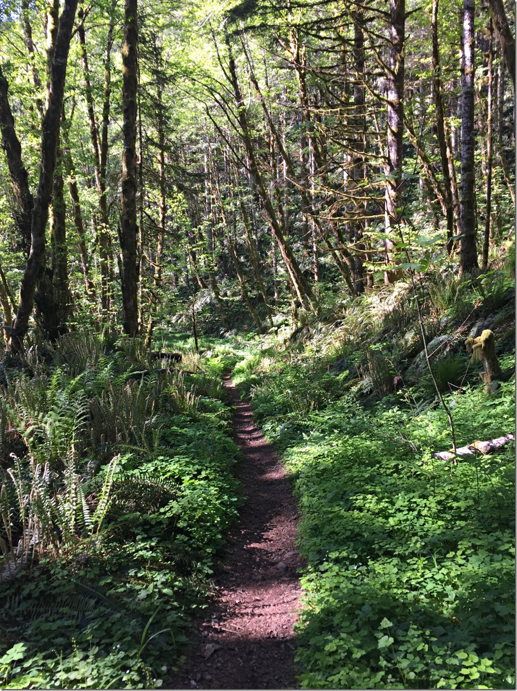 IMG_2695.PNG Green Trails!